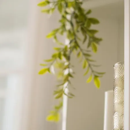 Hyper Centre, Phenix-sils * カーン