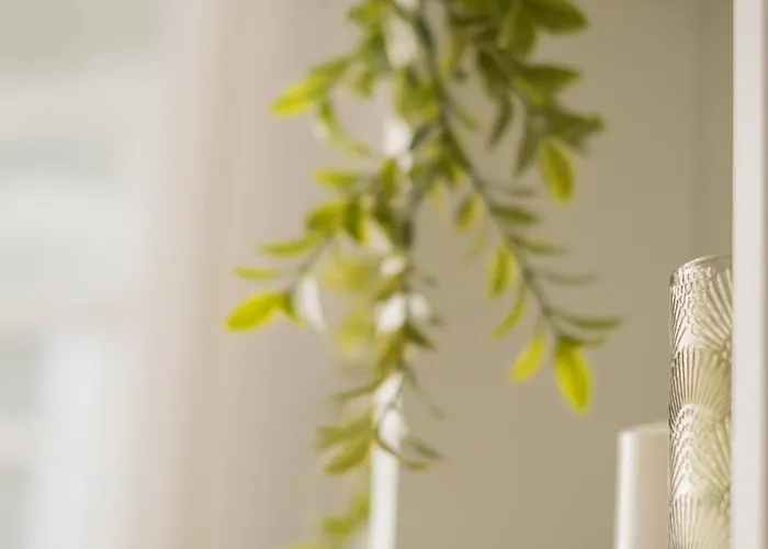 Hyper Centre, Phenix-sils * Caen